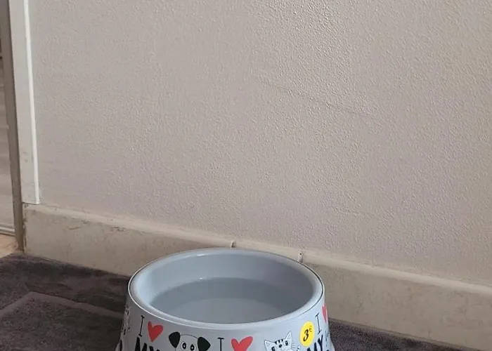 Au 1894 Grand Cru Avize